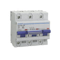 Chint 100A 3 Pole 10kA MCB