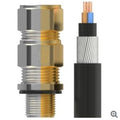 GPE1EX0-UN - M20s E1EX Unplated Cable Gland Kit x2