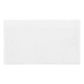 Selectric Smooth 2G Blanking Plate